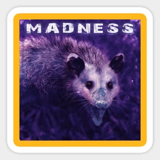 Possum in Madness Sticker